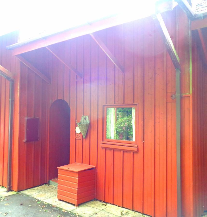 28 Yew Lodge Amroth Esterno foto